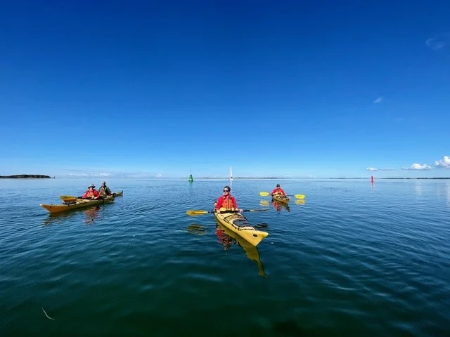 Geführte Kajaktour: Ostseeinsel hautnah
