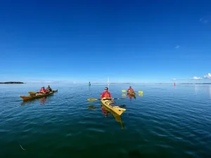Geführte Kajaktour: Ostseeinsel hautnah