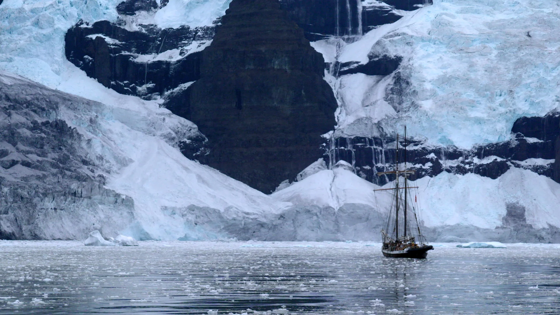 Darßer NaturfilmFestival: Eisfrauen