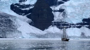 Darßer NaturfilmFestival: Eisfrauen