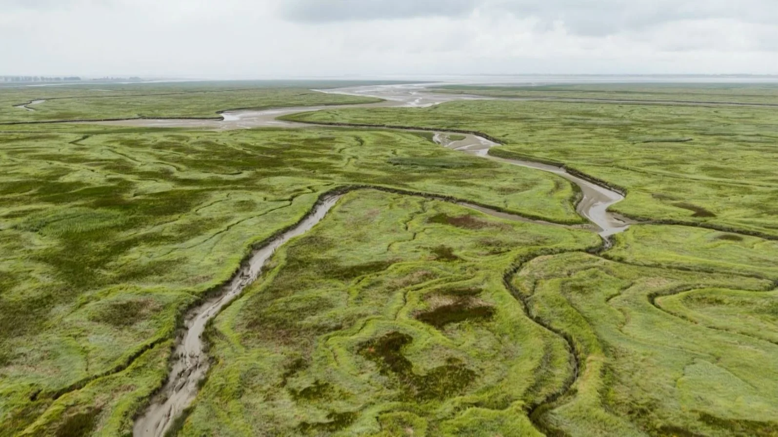 Darßer NaturfilmFestival: Deutschlands Naturwunder – Das Wattenmeer